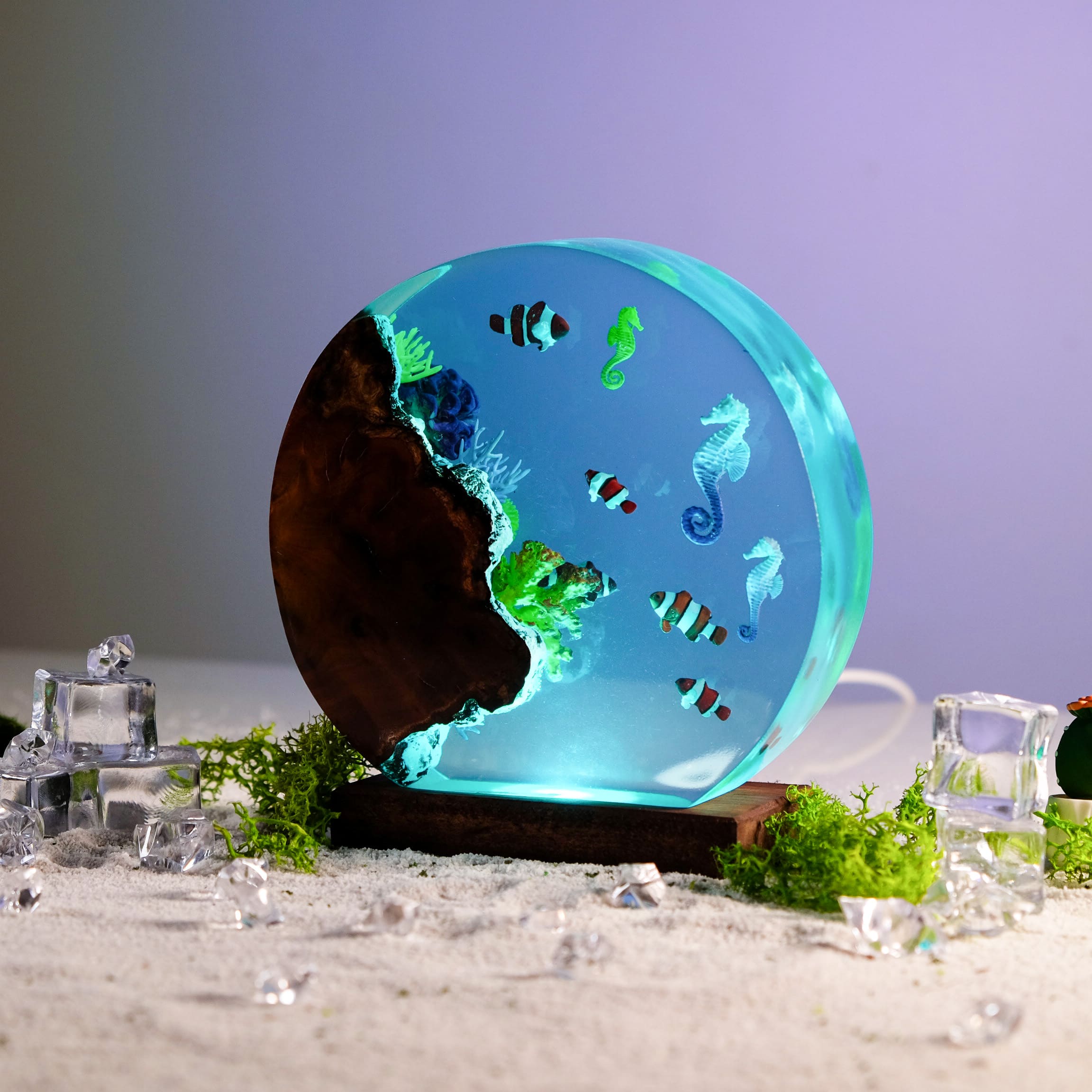sea creatures night light