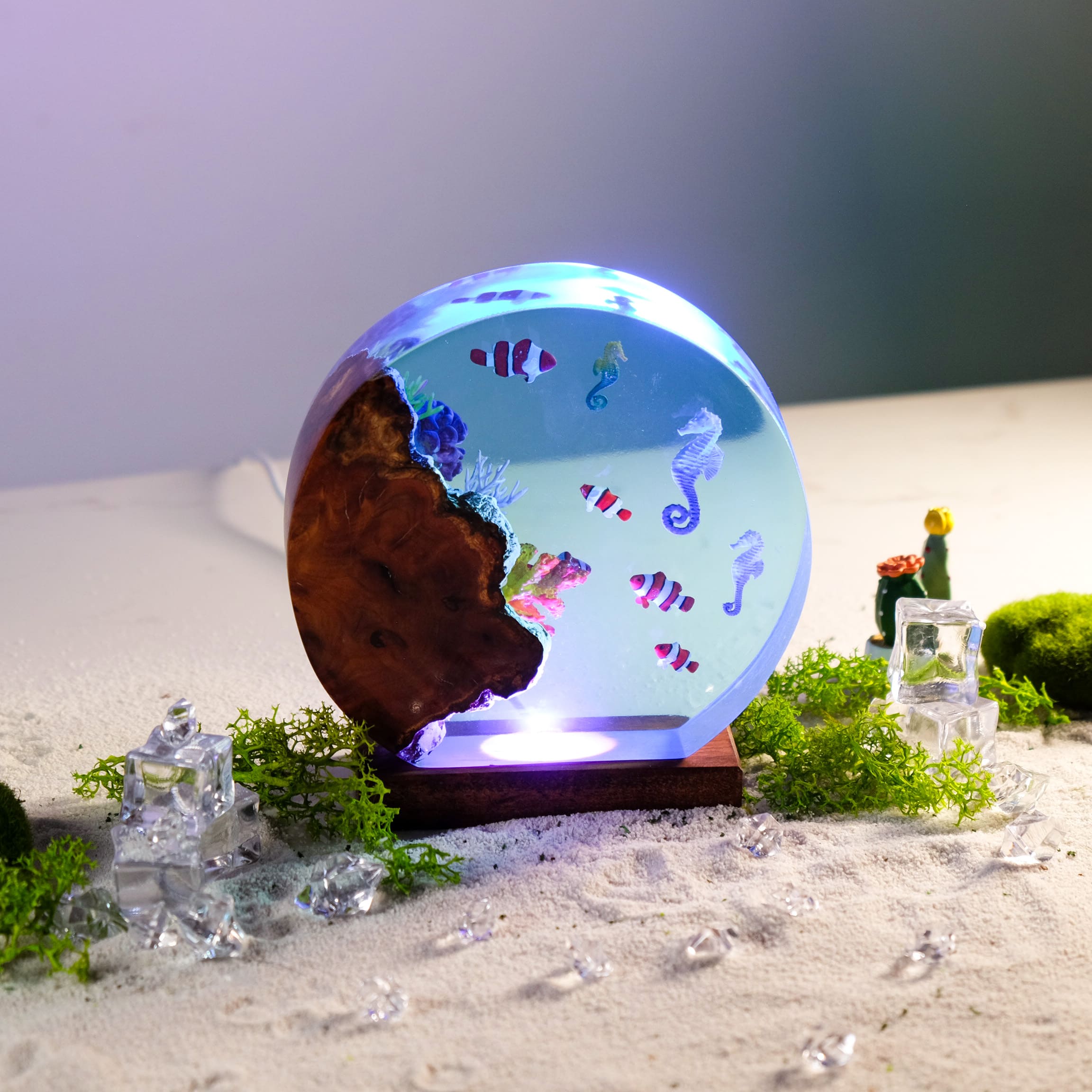 sea creatures night light decor